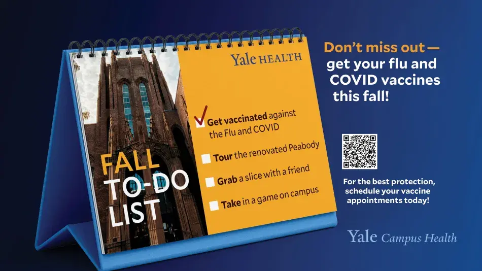 fall to do list flu vax 2024